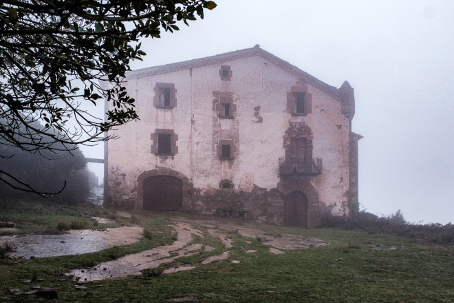 Una Figuera i una Perera moribundes